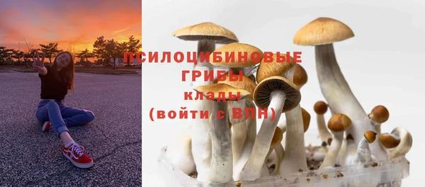 хмурый Заводоуковск