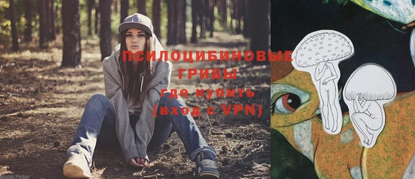 ECSTASY Пролетарск